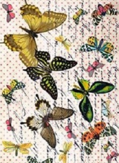 Papel de Arroz 40x30