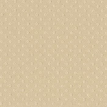 Papel De Scrapbooking Bolinhas Areia