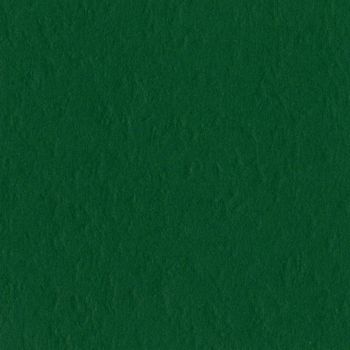 Papel De Scrapbooking Riscado Verde