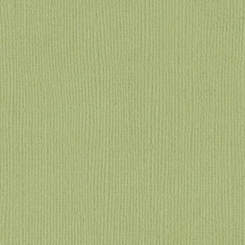 Papel De Scrapbooking Riscado Verde Maça