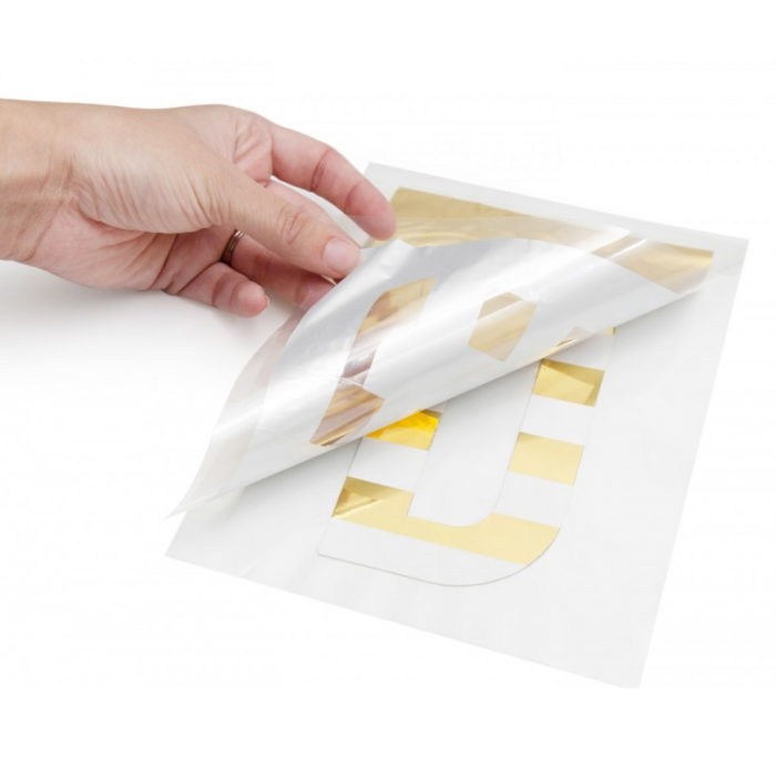 Plástico de Transferência (3)