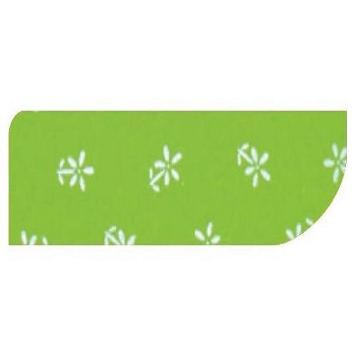 Eva Estampado Cítrico Floral Verde