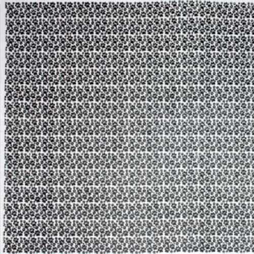 Eva Estampado Patinhas Branco