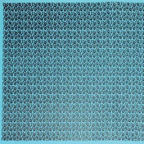 Eva Estampado Patinhas Azul