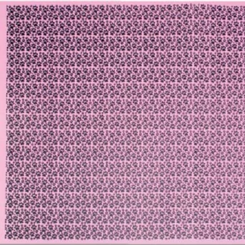 Eva Estampado Patinhas Rosa