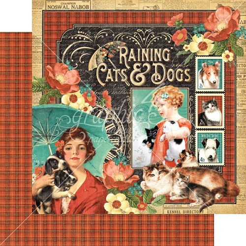 Folha Scrap 30x30 Raining Cats & Dogs