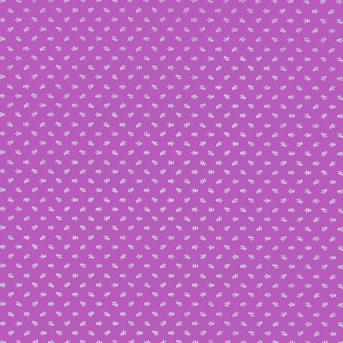 Eva Estampado Cor Margarida Rosa Fluor