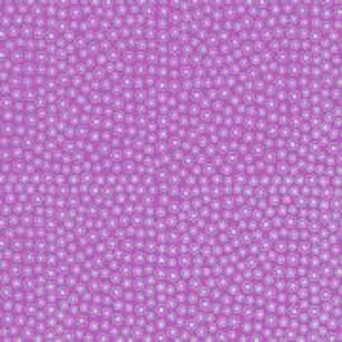 Eva Estampado Cor Floral Rosa Fluor