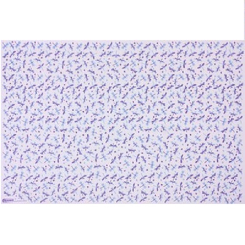 Eva Estampado Cor Natureza Libelinhas