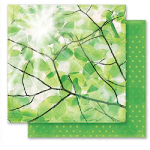 Papel de Scrapbook 30,5x30,5