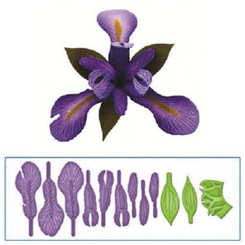 Cortante Create An Iris