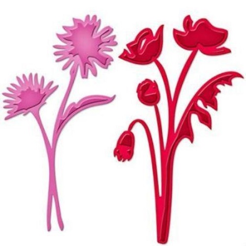 Cortante Asters and Poppies