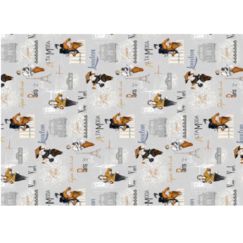 Papel Cartonado 70x50 Moda