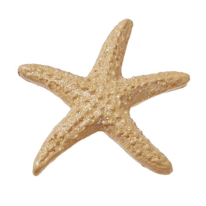Estrela do Mar 4.5 Cm (6 un.)