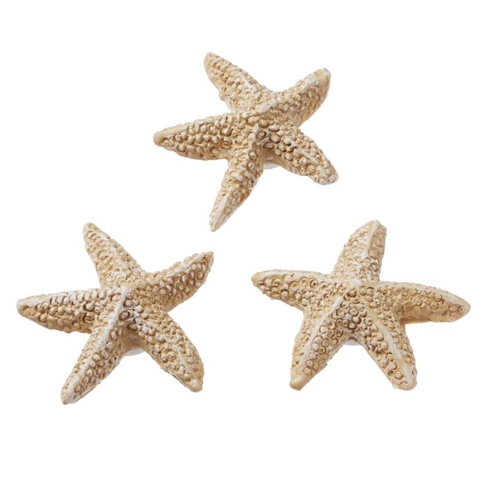 Estrela do Mar Natural 2 Cm (4 un.)