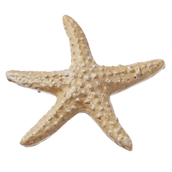 Estrela do Mar Natural 4 Cm (3 un.)