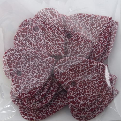 Aplicação Goldina Car Shade 18