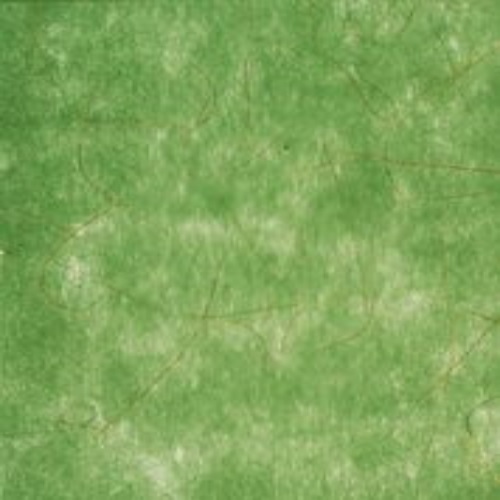 Rolo Papel Verde c/ Fio Ouro 15 Mt.