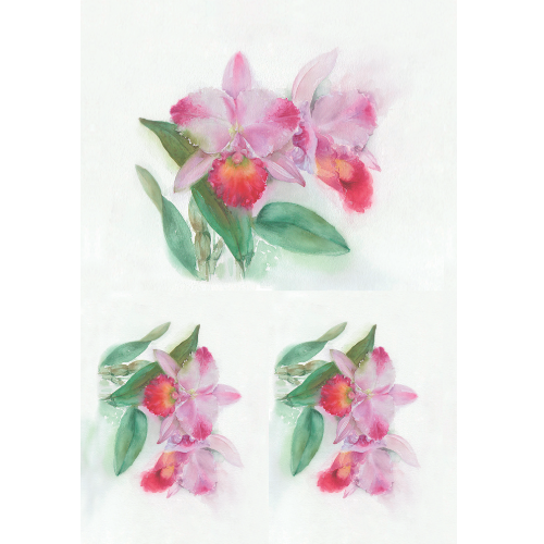Papel Decoupage Flôr Orquídea 30X45