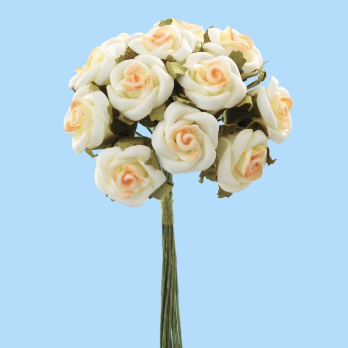 Rosas Alperce Creme 12 Cm. (Boquet de 12 un.)