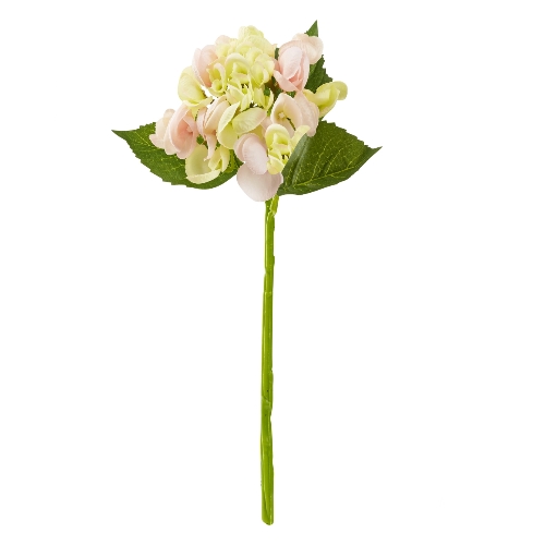 Hydrangea Rosa 30 Cm.