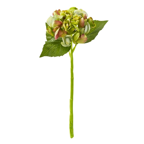 Hydrangea Verde 30 Cm.