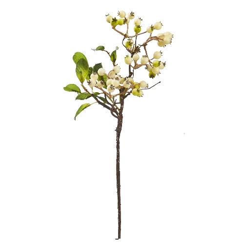 Azevinho Creme 33 Cm.