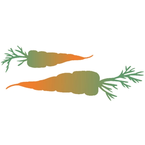 Stencil Opa 10x30 Cenoura