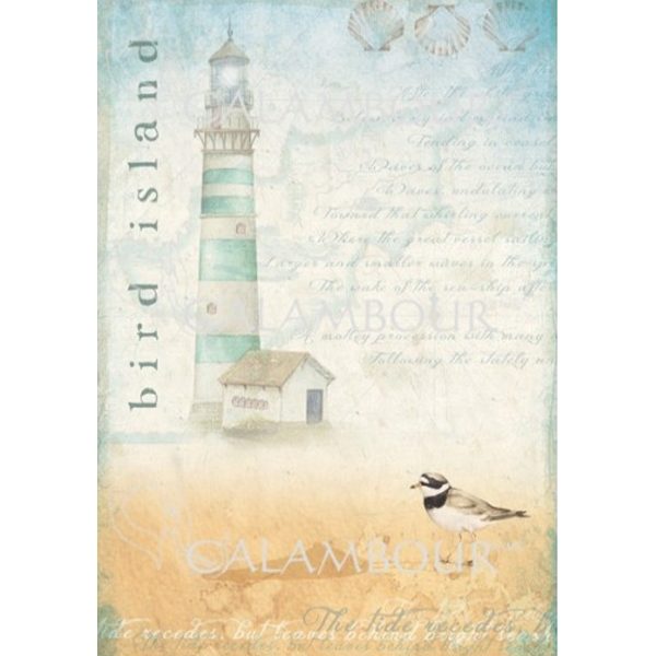 Papel de Arroz 34.5x49.5 TCR6