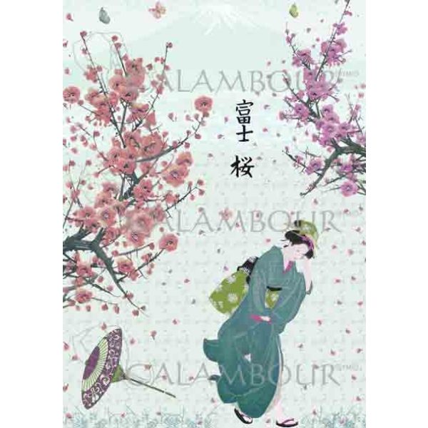 Papel de Arroz 30,4x45 TCR19