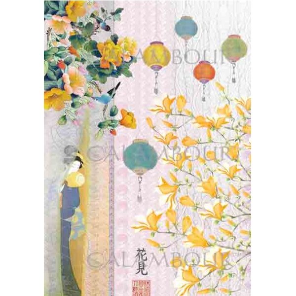 Papel de Arroz 34.5x49.5 TCR24