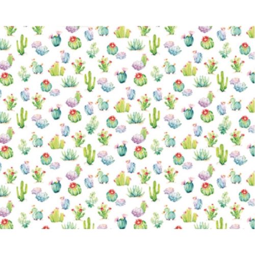 Papel Cartonado 70x50 Cactus