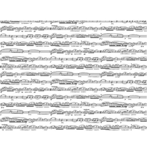 Papel Cartonado 70x50 Music su Carte