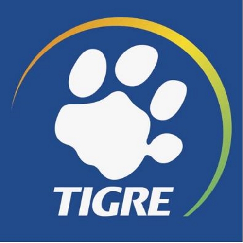 Tigre