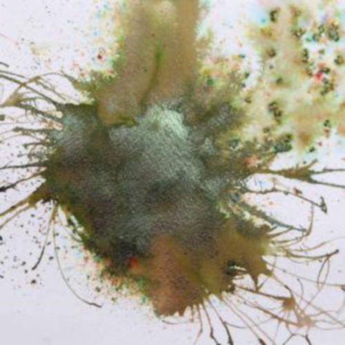 Cosmic Shimmer Pixie Powder Bronze Blush