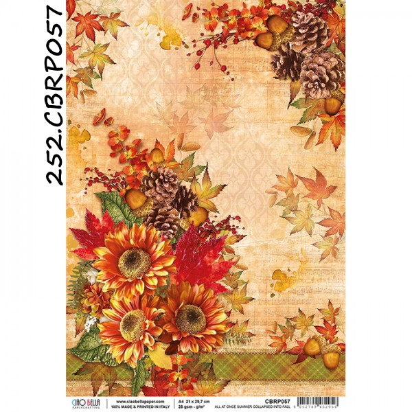 Papel Arroz All at Once Cards A-4