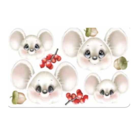 Eva Picki e Calu 20x12