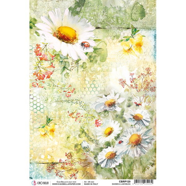 Papel Arroz Daises & Ladybugs A-4