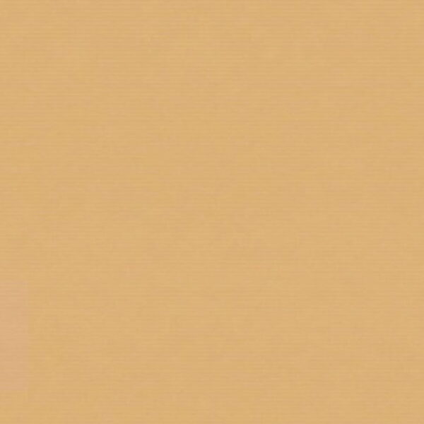 Papel de Embrulho 25un.