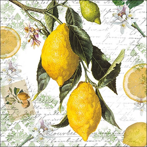 Guardanapo Lemon 33x33
