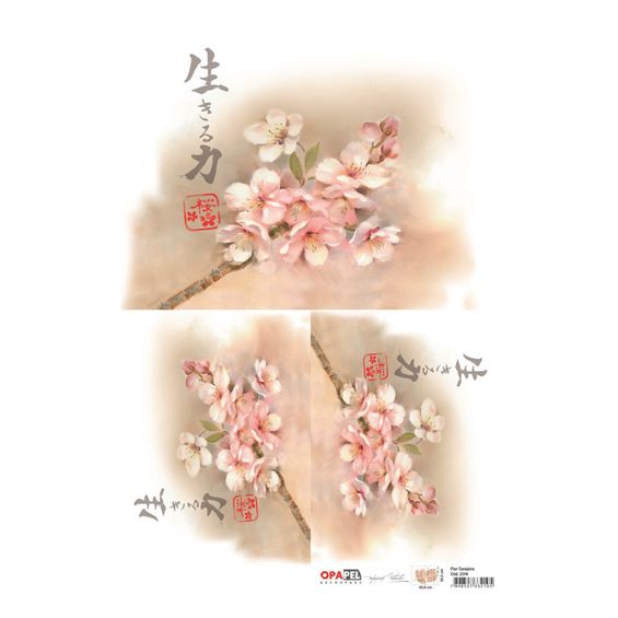 Papel Decoupage Flor Cerejeira 30X45