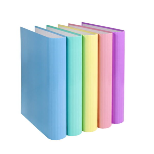 Pasta Cartão A4 2/25mm Sortido