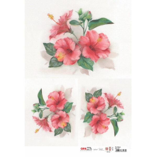 Papel Decoupage Flor Hibisco 30X45
