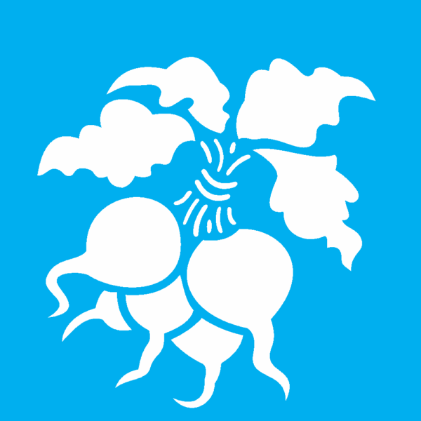 Stencil Opa 10x10 Simples Legumes Beterrabas