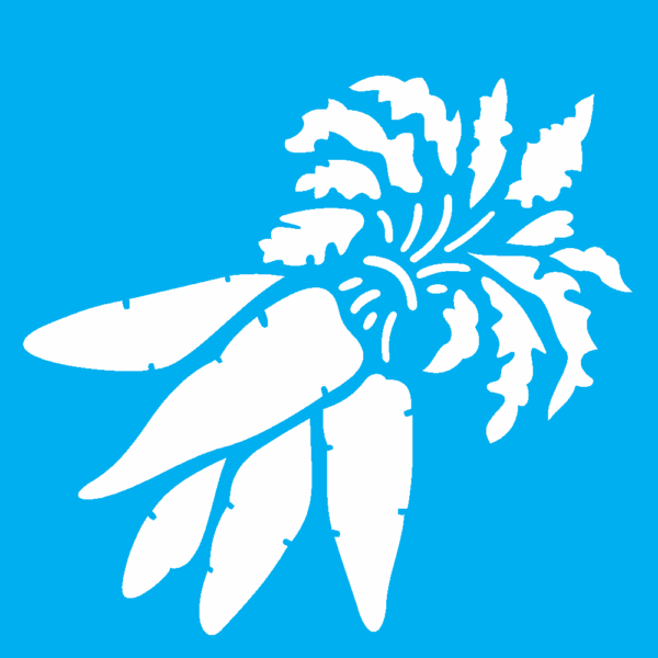 Stencil Opa 10x10 Simples Legumes Cenouras