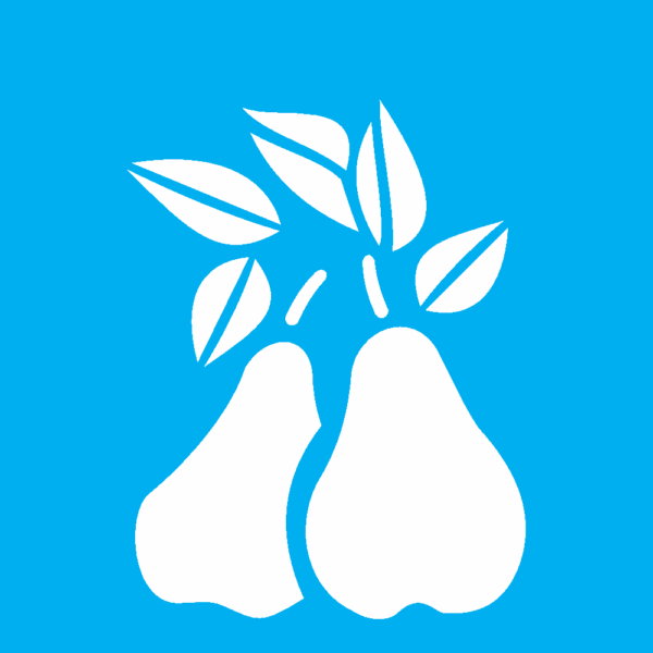 Stencil Opa 10x10 Simples Frutas Peras