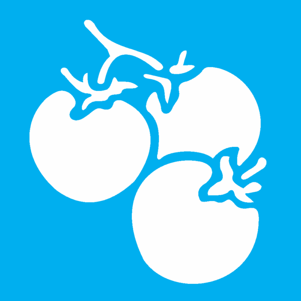 Stencil Opa 10x10 Simples Legumes Tomates