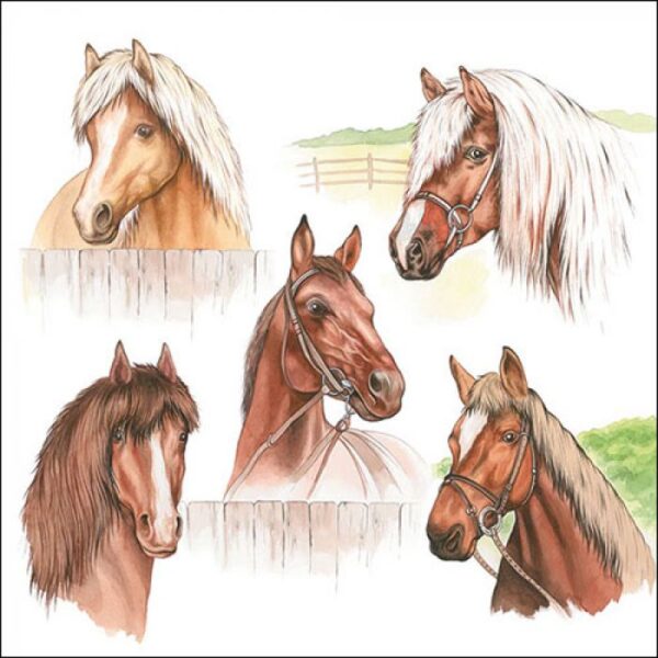 Guardanapo Horse Range 33x33