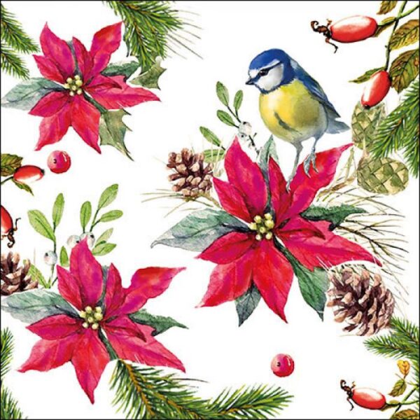 Guardanapo Bird on Poinsettia 33x33