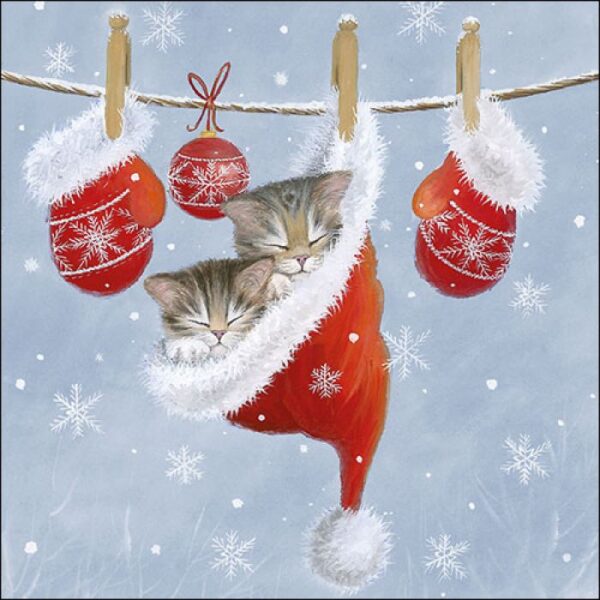 Guardanapo Just Sleepy 33x33